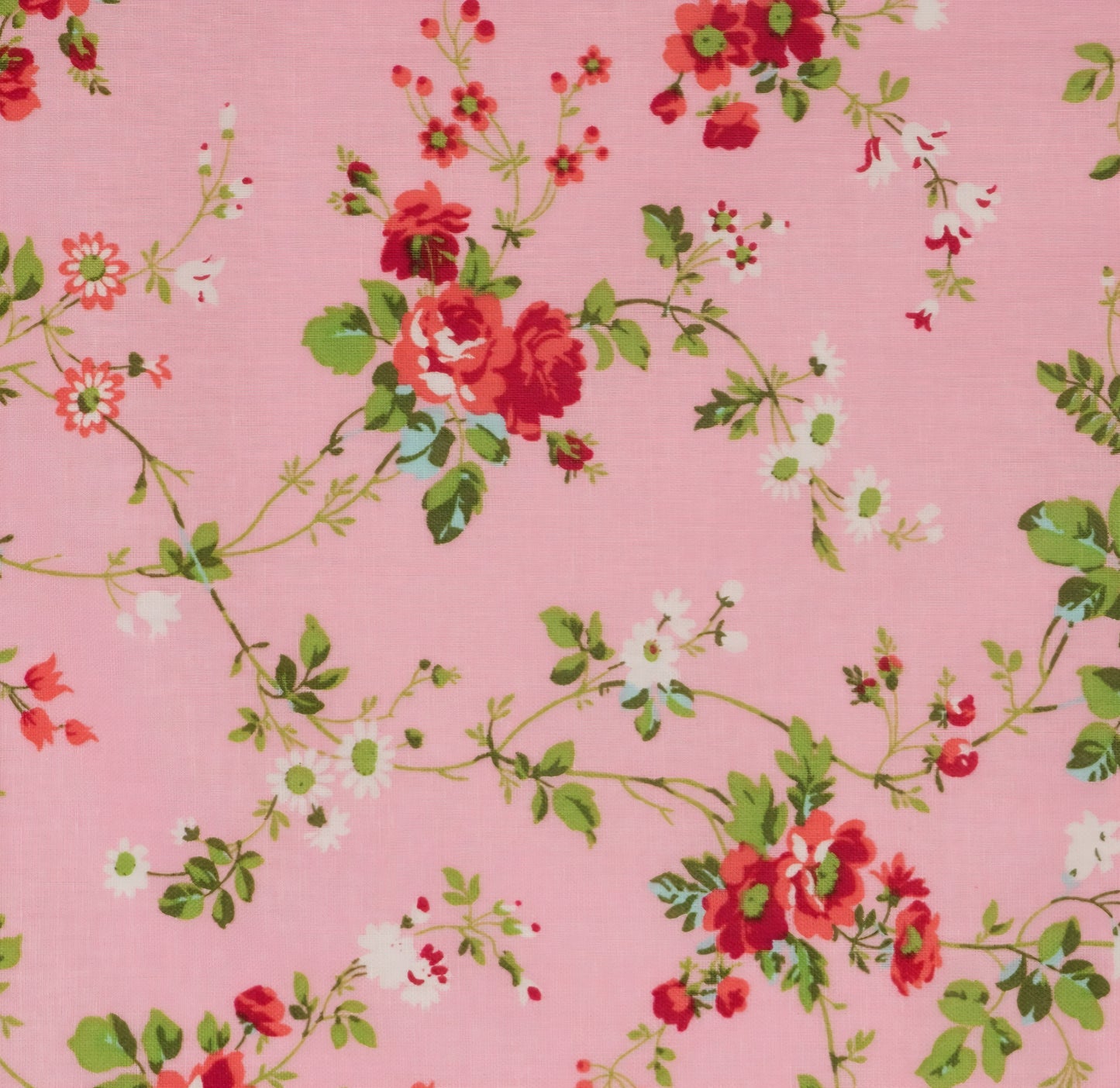 Everyday Sponge Fabrics