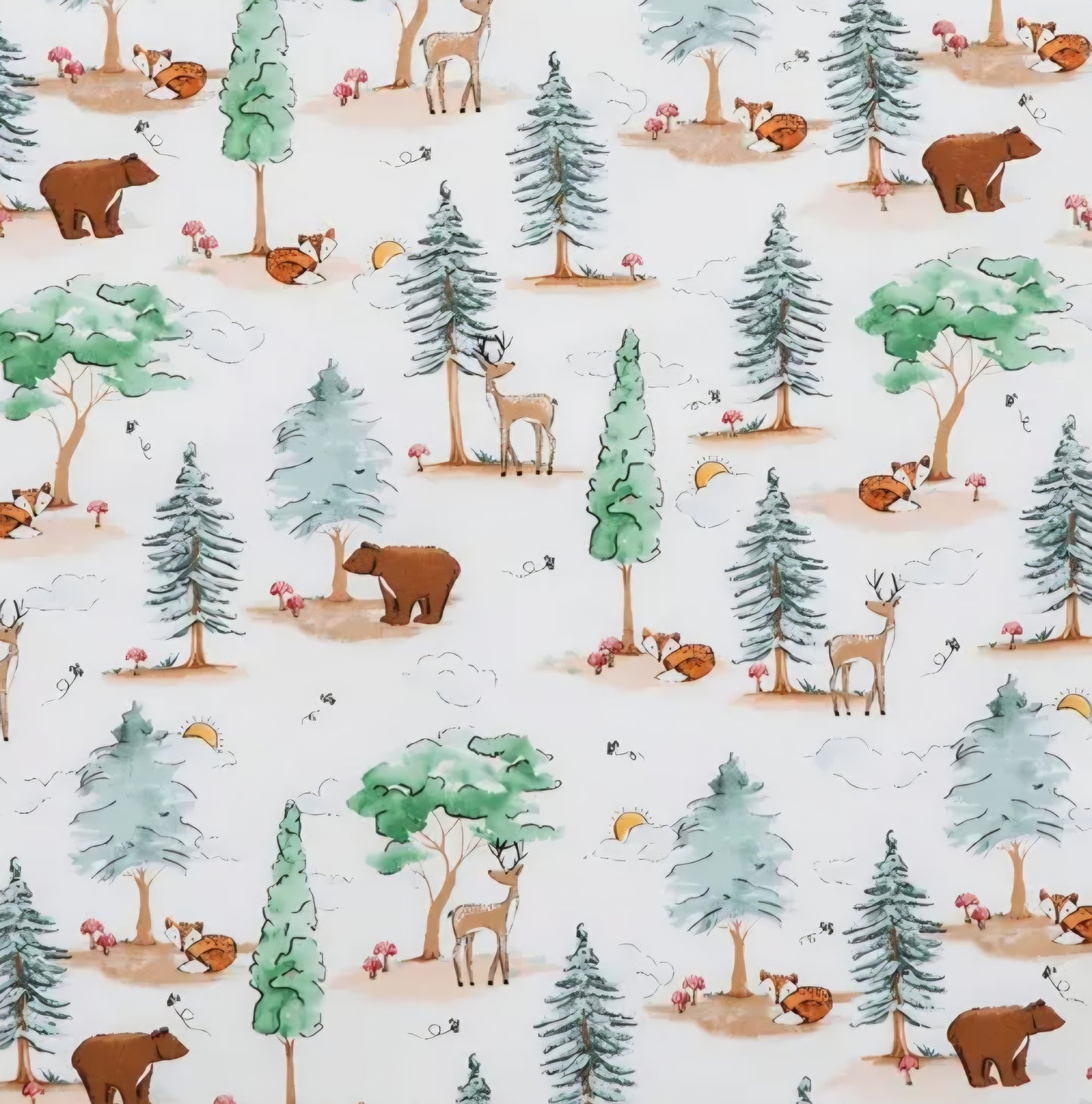 Everyday Sponge Fabrics