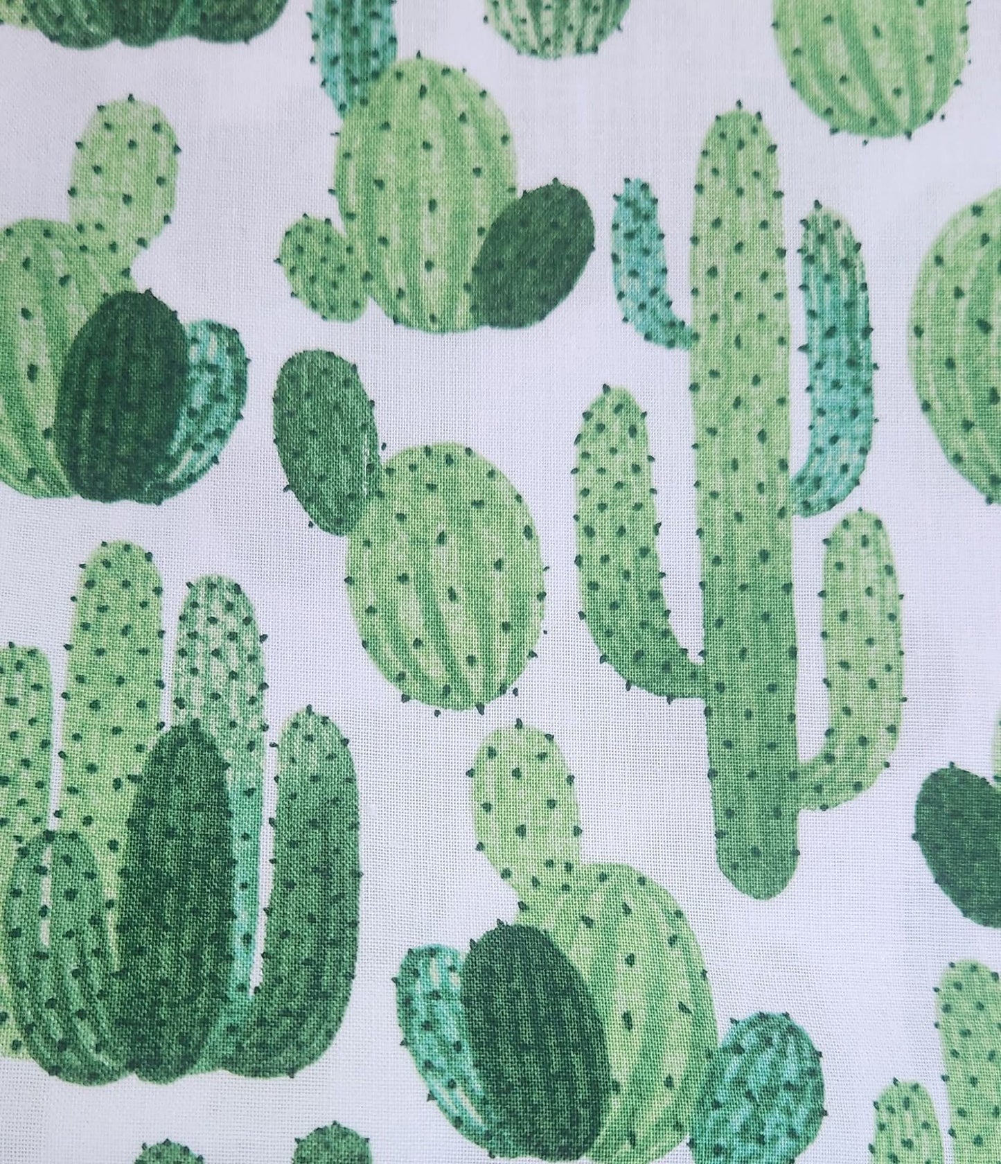 Everyday Sponge Fabrics