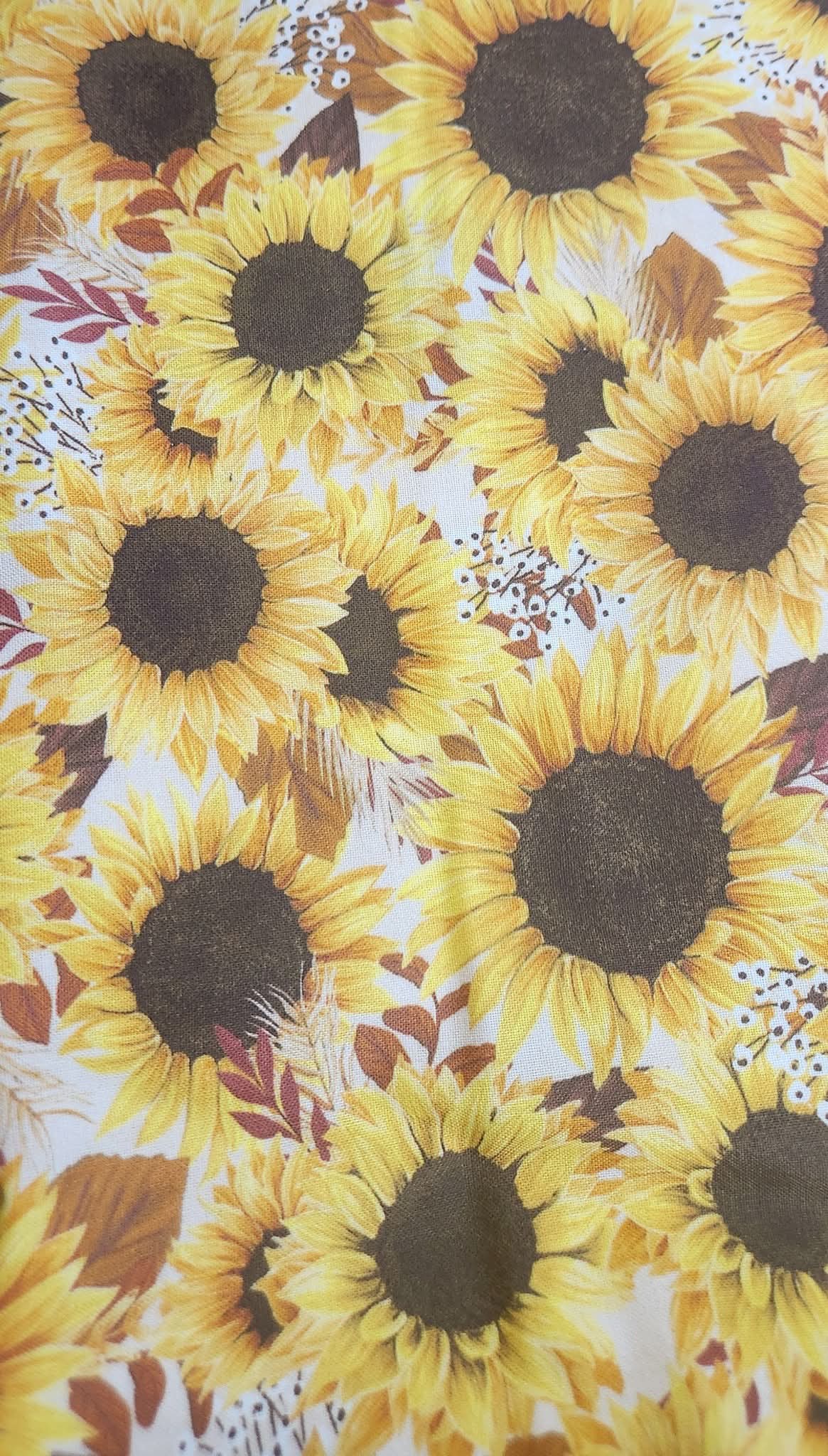Everyday Sponge Fabrics