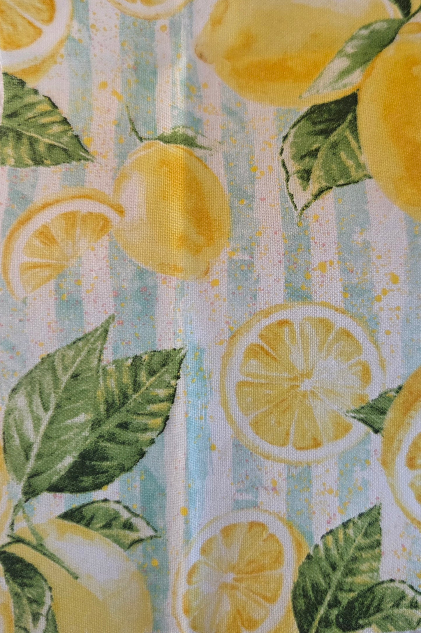 Everyday Sponge Fabrics