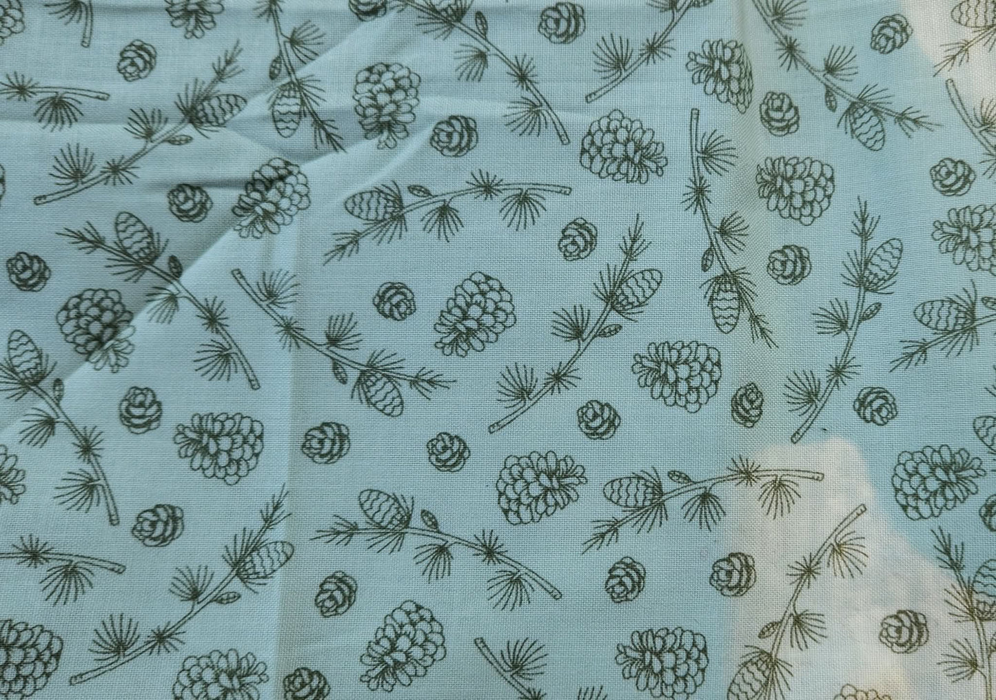 Everyday Sponge Fabrics