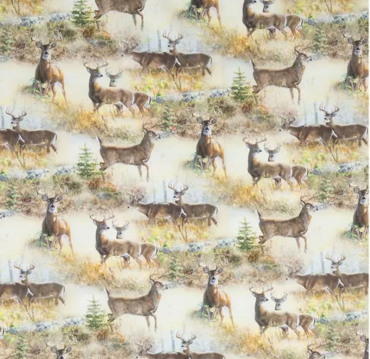 Fall Fabric Options