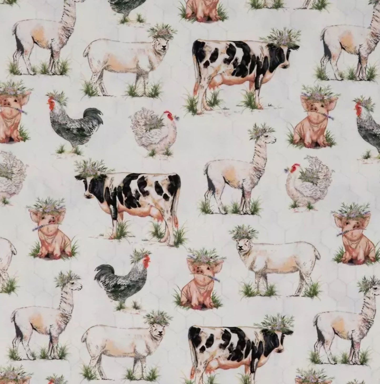 Everyday Sponge Fabrics