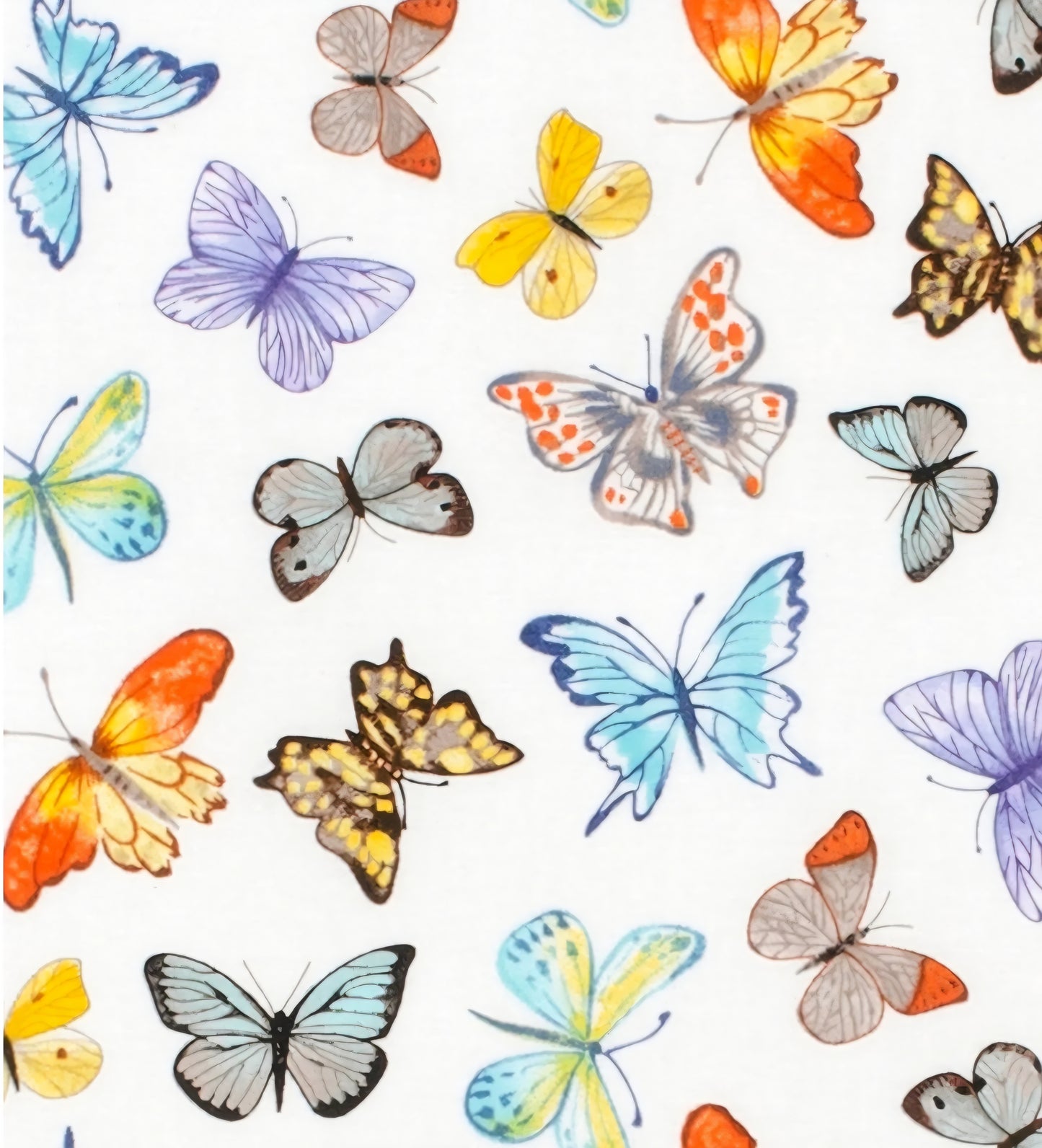 Everyday Sponge Fabrics