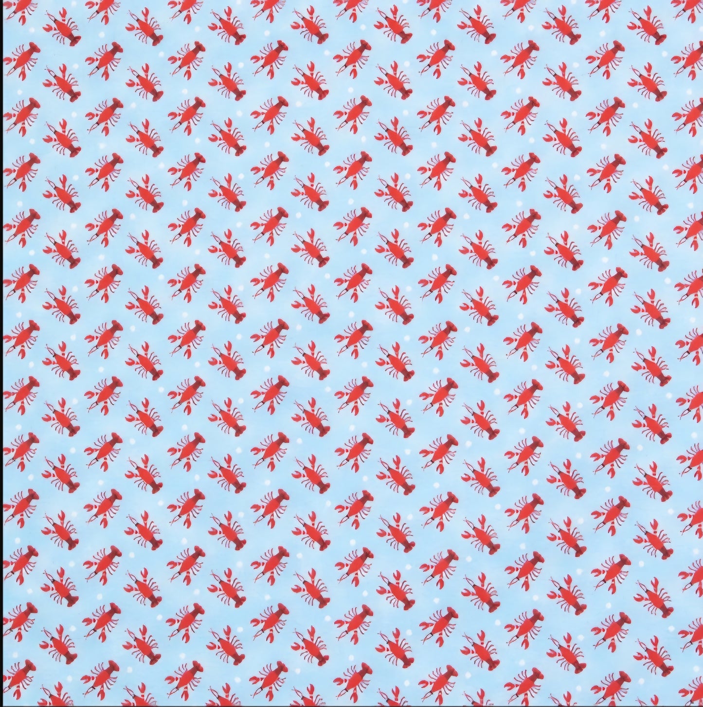 Everyday Sponge Fabrics